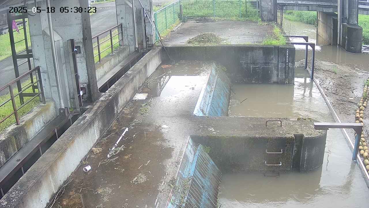 area2-20250518053025.jpg