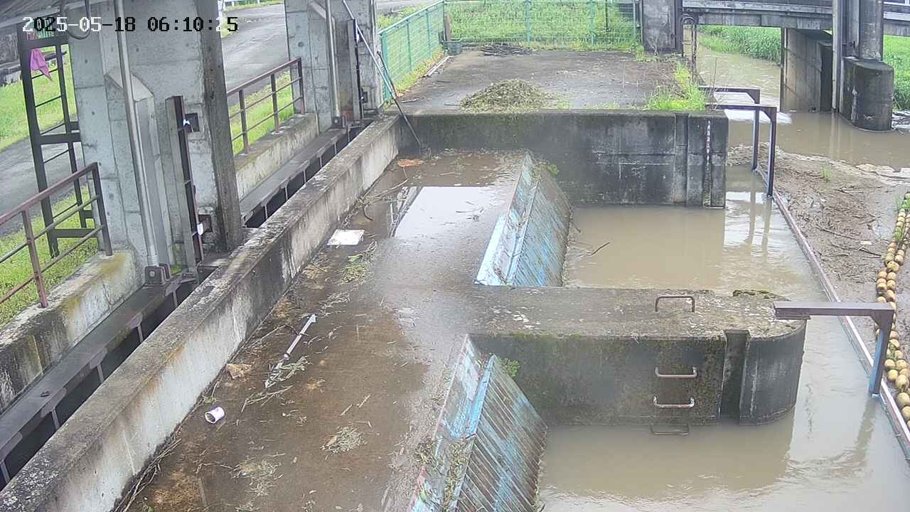 area2-20250518061027.jpg