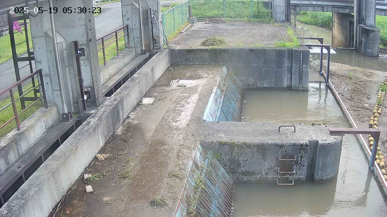 area2-20250519053025.jpg