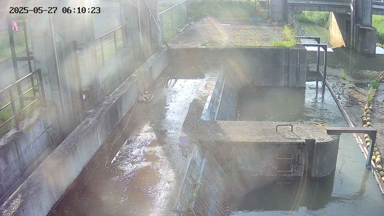 area2-20250527061024.jpg