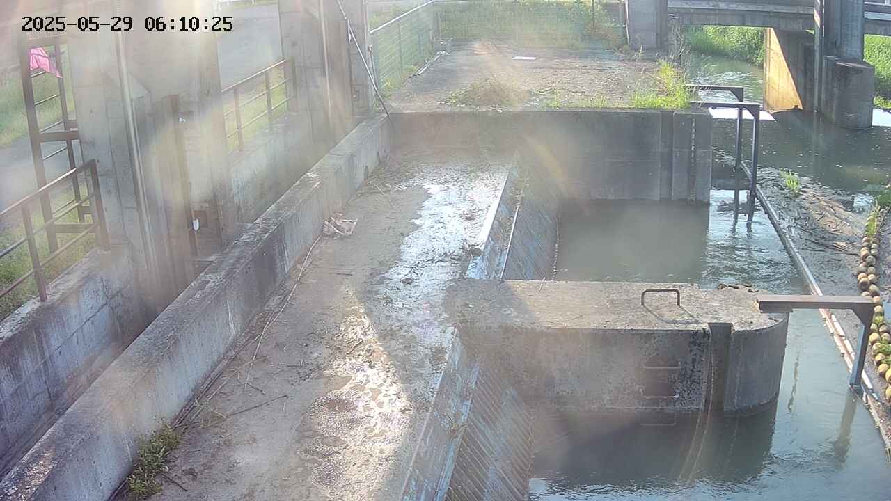 area2-20250529061026.jpg