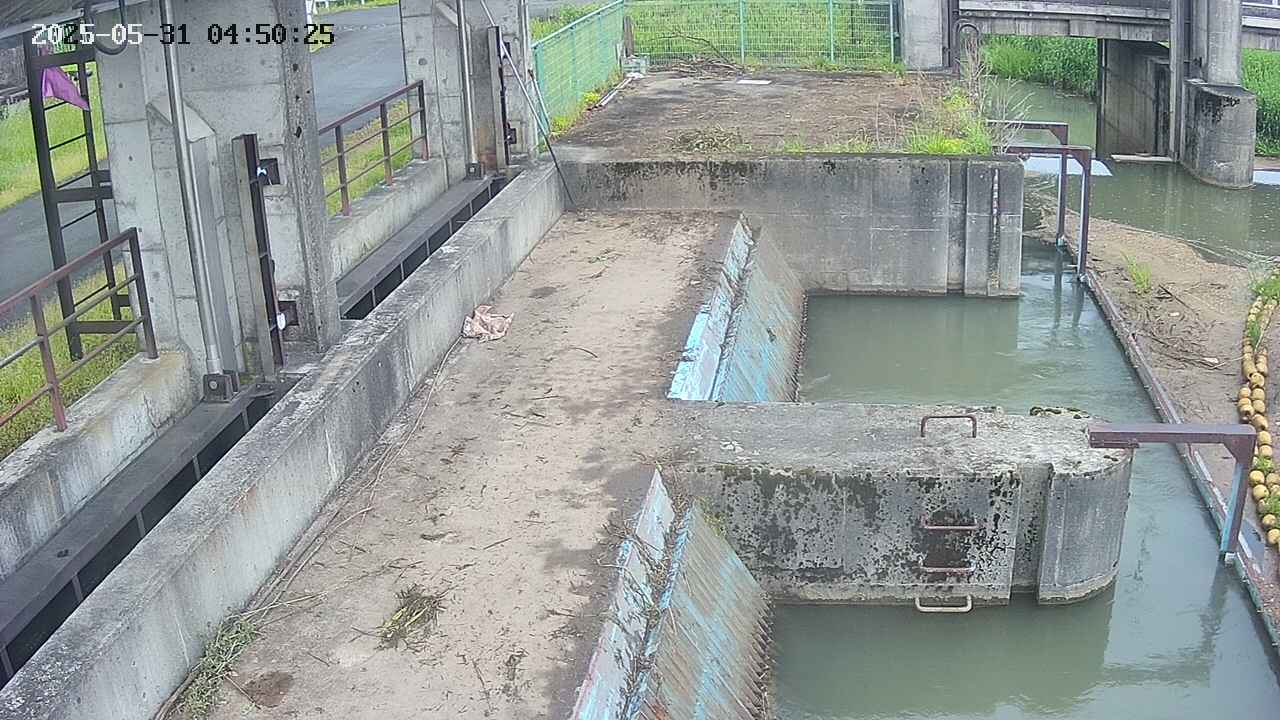 area2-20250531045026.jpg