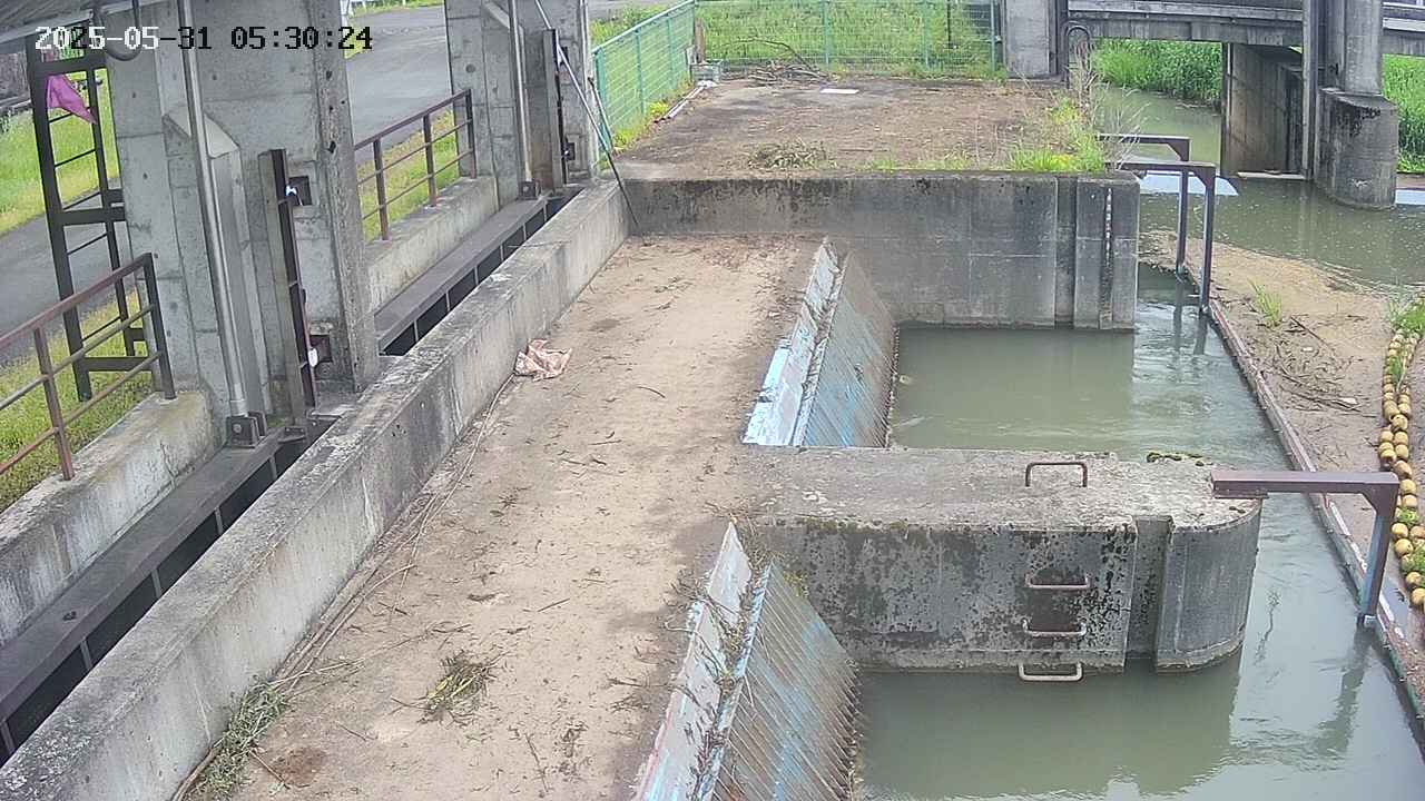 area2-20250531053026.jpg