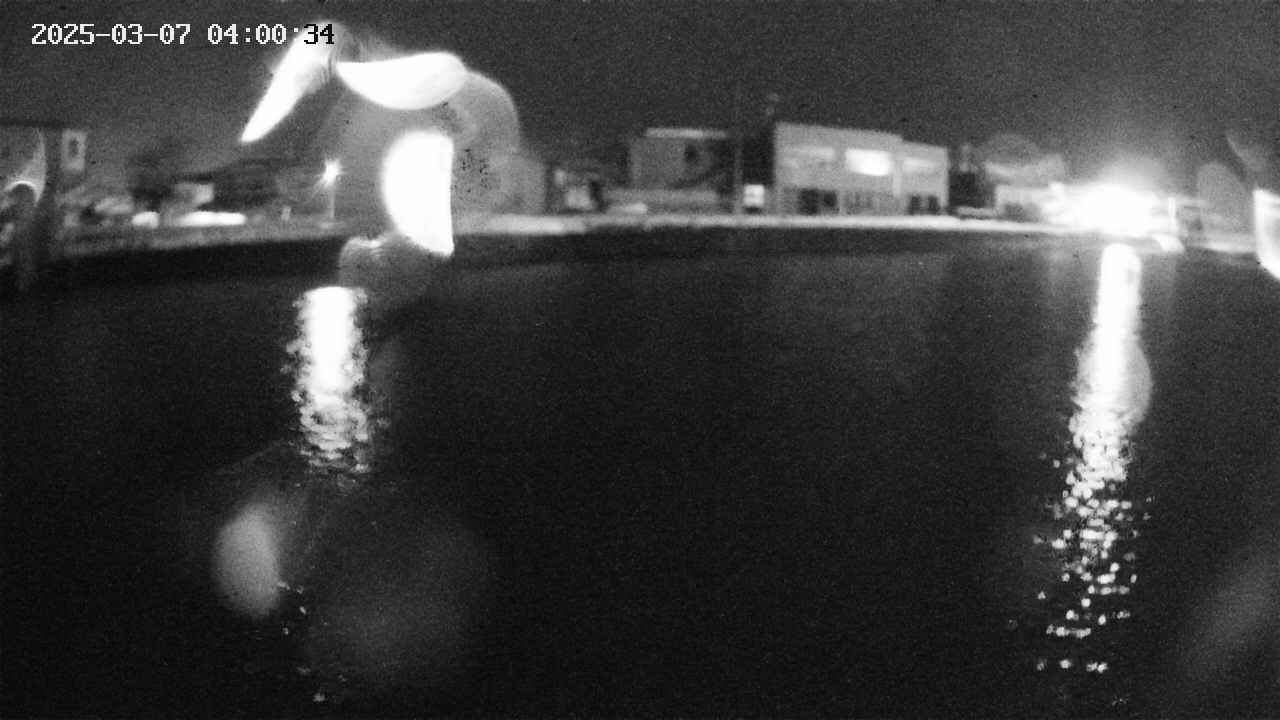 area3-20250307040036.jpg