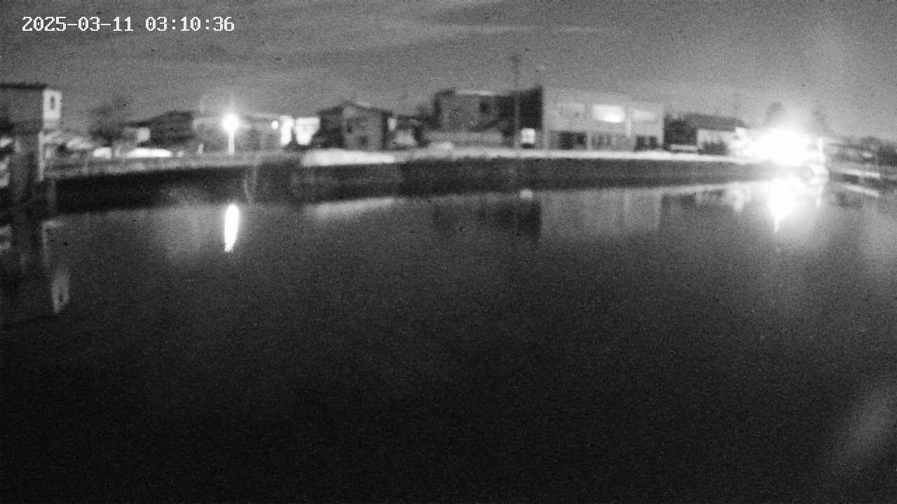 area3-20250311031037.jpg