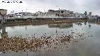 area3-20250325120039.jpg