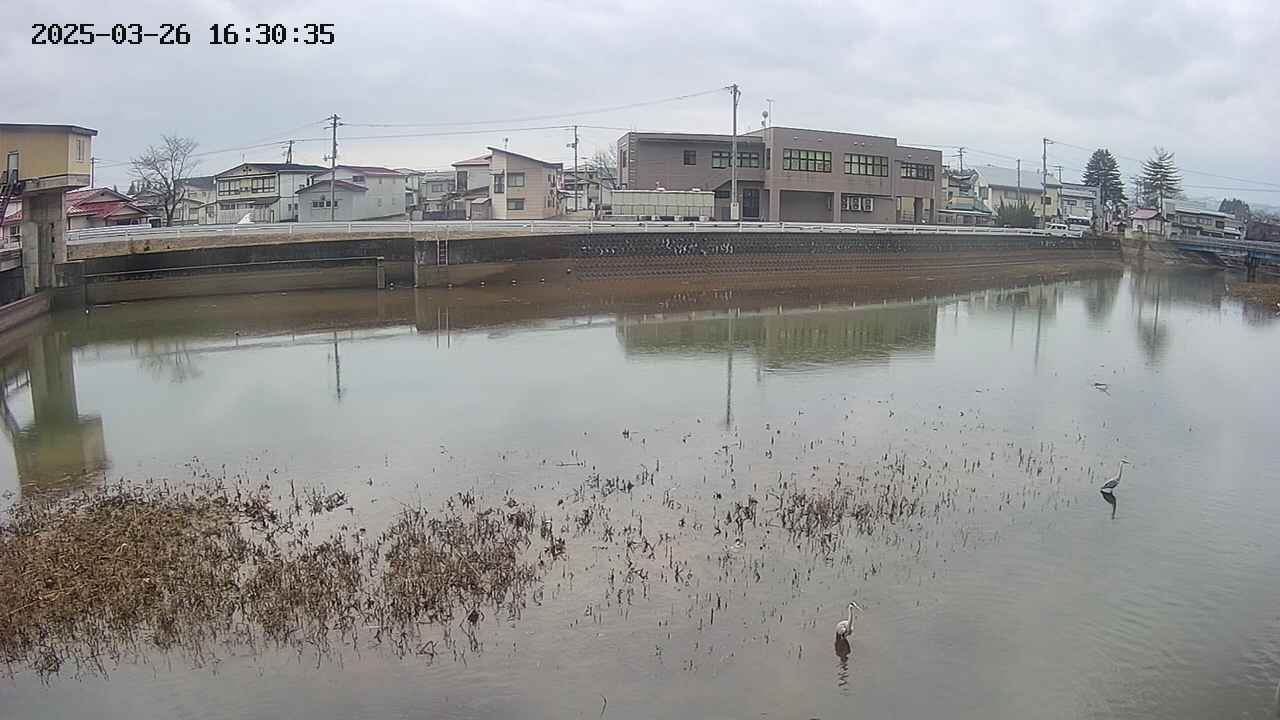 area3-20250326163037.jpg