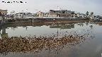 area3-20250327073038.jpg