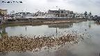 area3-20250327125037.jpg