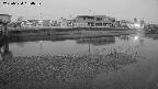 area3-20250330050038.jpg