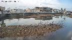 area3-20250330065038.jpg