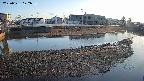 area3-20250331172037.jpg