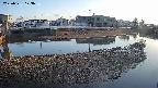 area3-20250331173038.jpg