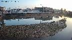 area3-20250331181039.jpg