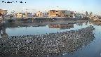 area3-20250401055038.jpg