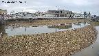 area3-20250410165035.jpg