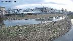 area3-20250412180038.jpg