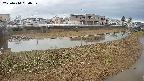 area3-20250414080038.jpg