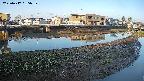 area3-20250417055038.jpg