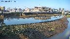 area3-20250417061037.jpg