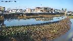 area3-20250417062035.jpg