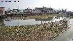 area3-20250419154035.jpg