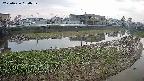 area3-20250426180038.jpg