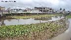 area3-20250429174038.jpg