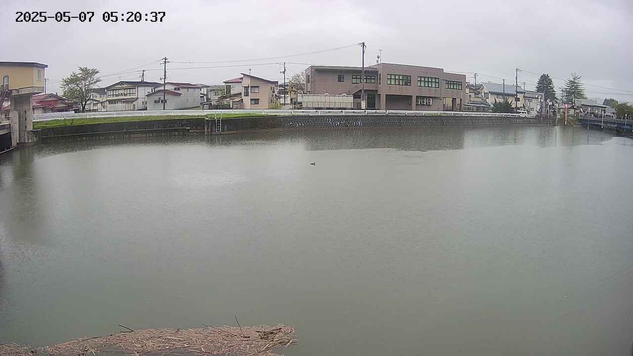 area3-20250507052038.jpg