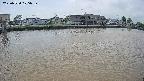 area3-20250520105038.jpg