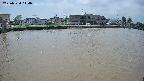 area3-20250520114037.jpg