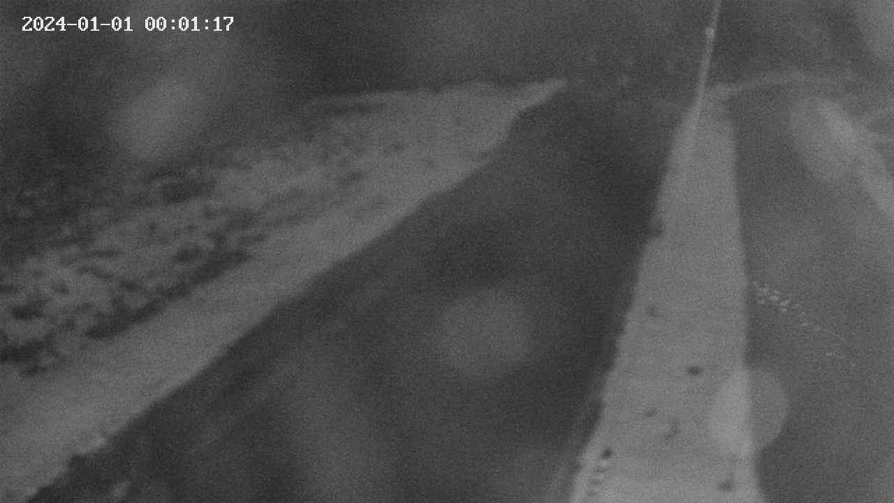 area9-20240101000118.jpg