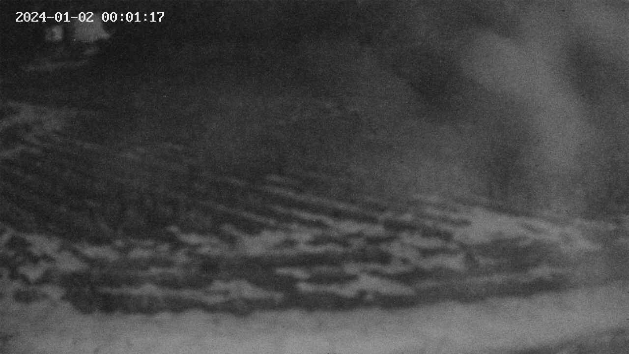 area9-20240102000118.jpg