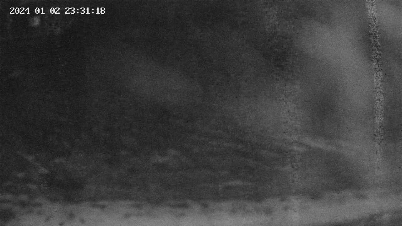 area9-20240102233118.jpg