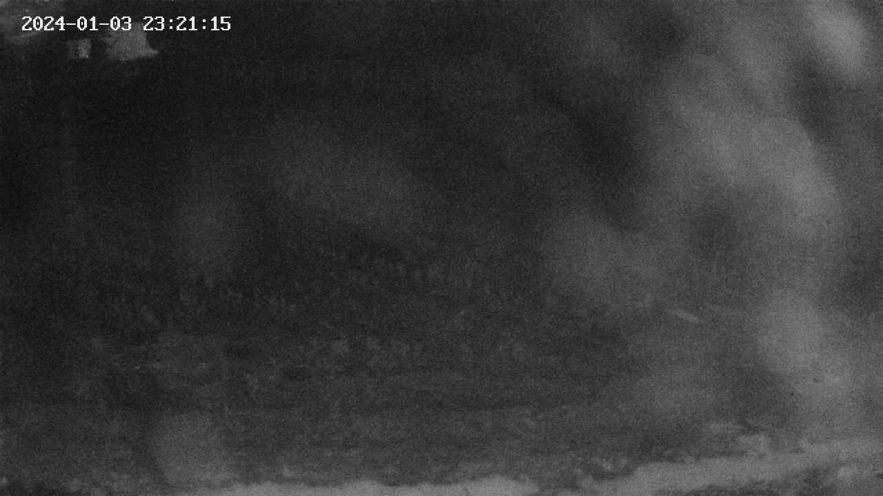 area9-20240103232117.jpg