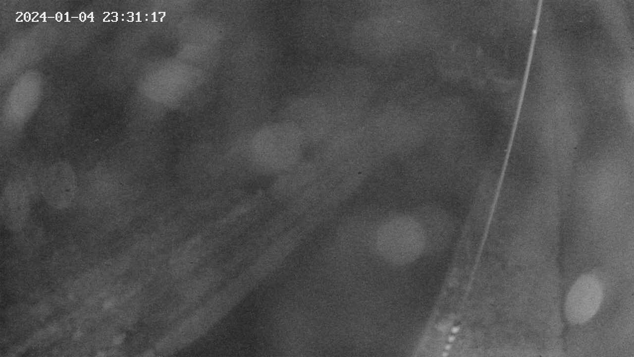 area9-20240104233118.jpg