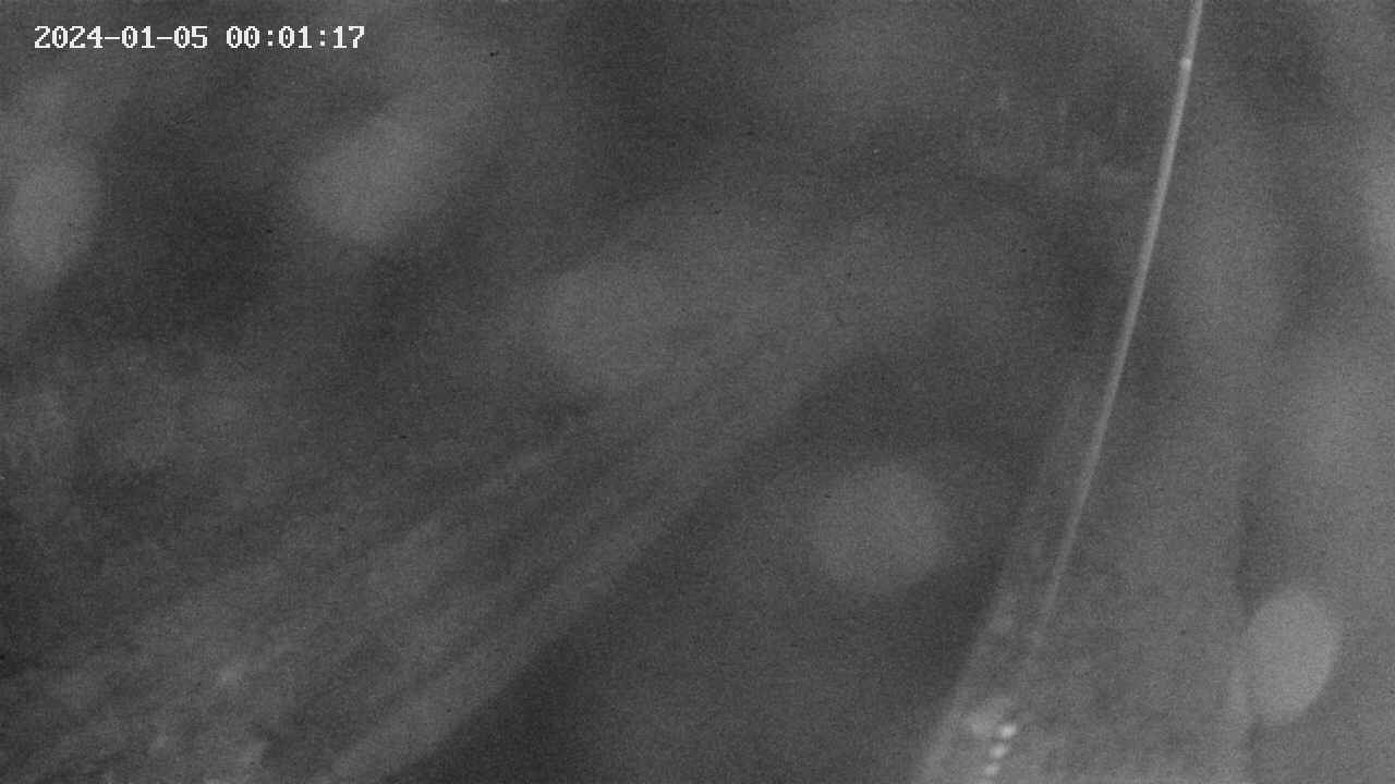 area9-20240105000118.jpg
