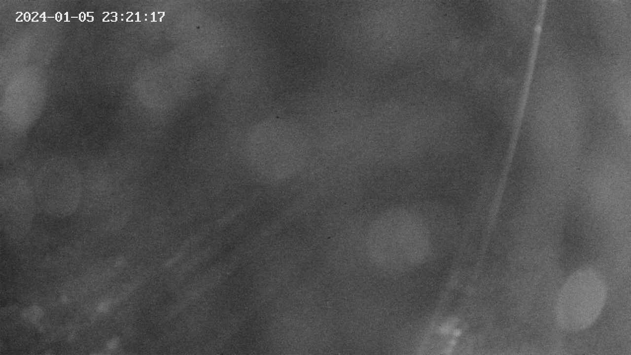 area9-20240105232118.jpg