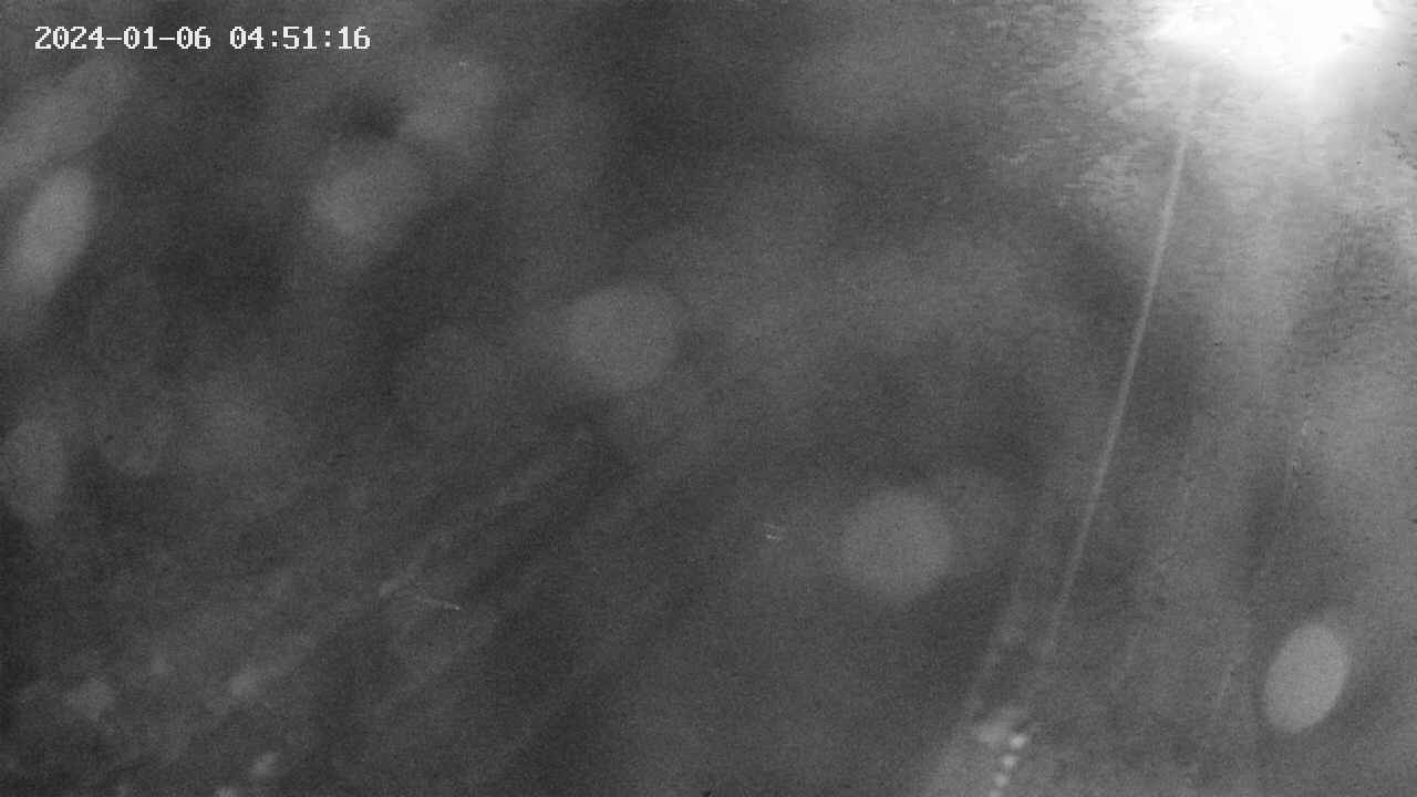 area9-20240106045117.jpg