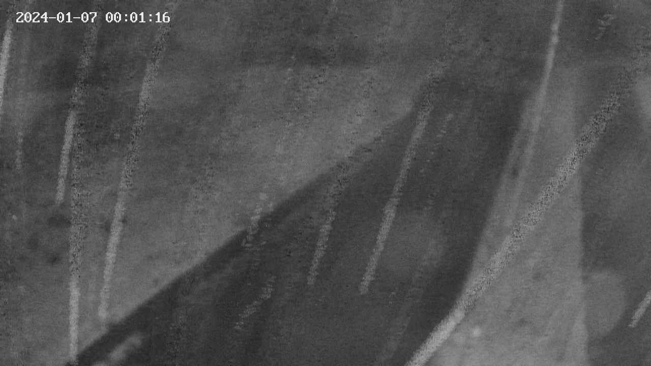 area9-20240107000117.jpg