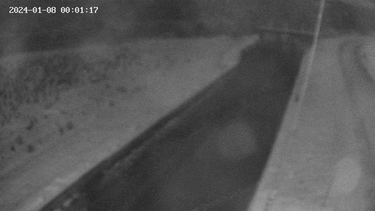 area9-20240108000118.jpg