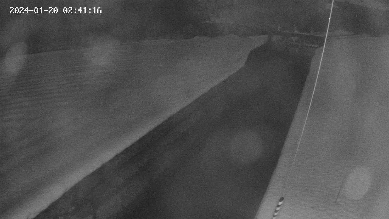 area9-20240120024118.jpg