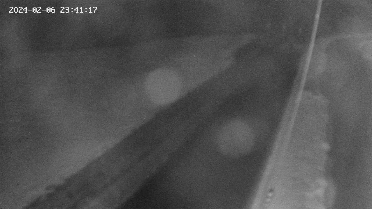 area9-20240206234118.jpg