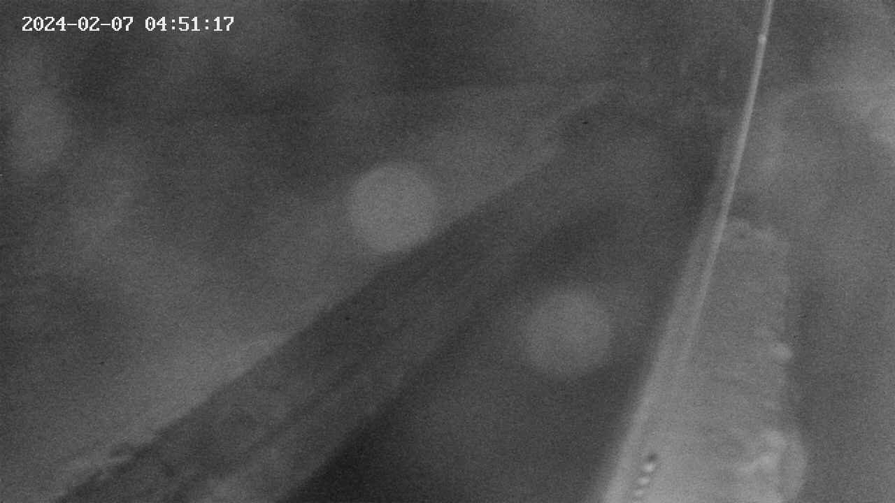 area9-20240207045118.jpg
