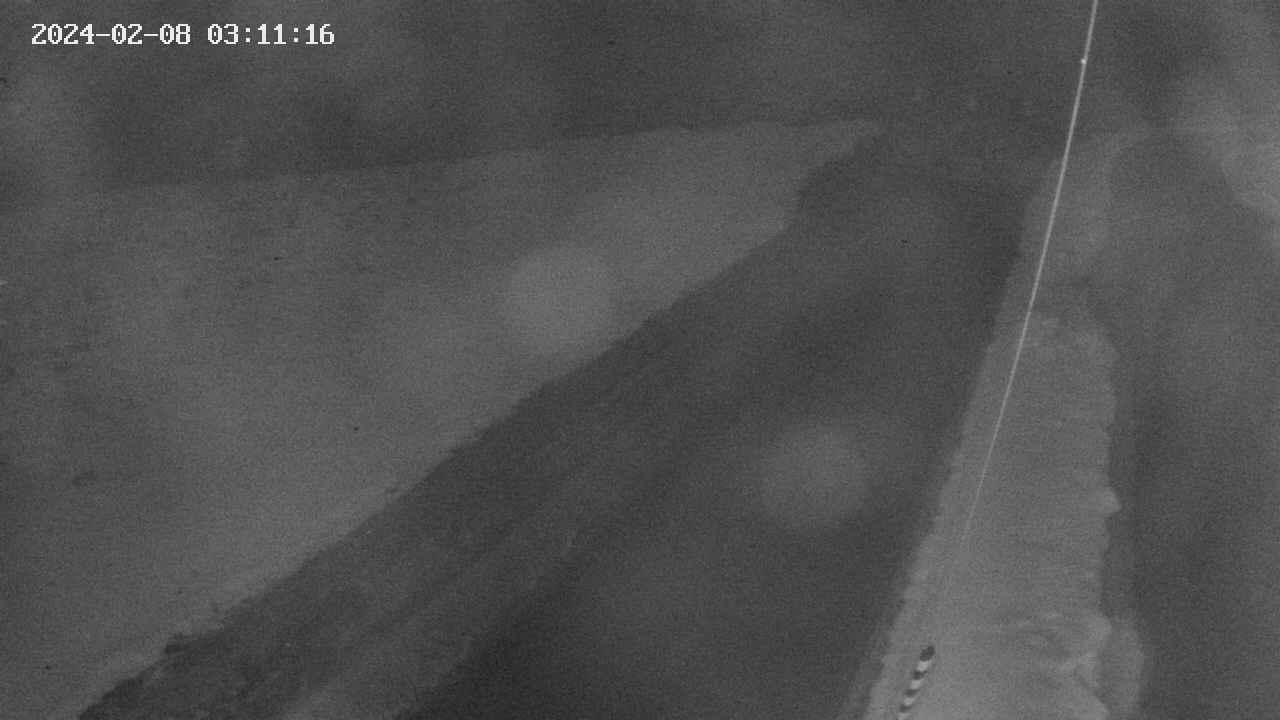 area9-20240208031117.jpg