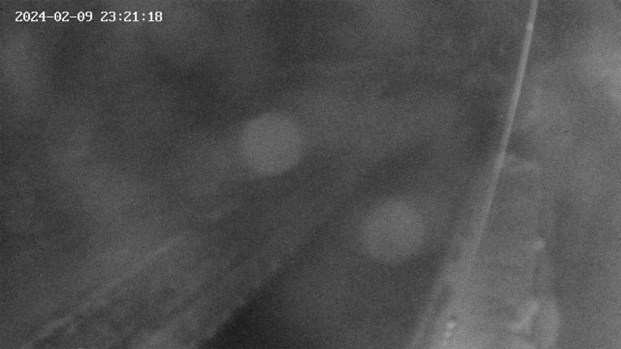 area9-20240209232118.jpg