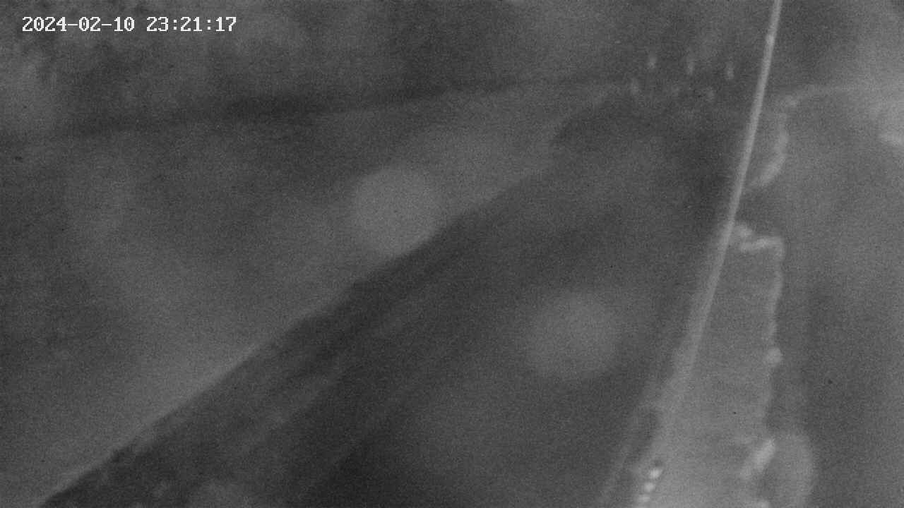 area9-20240210232117.jpg