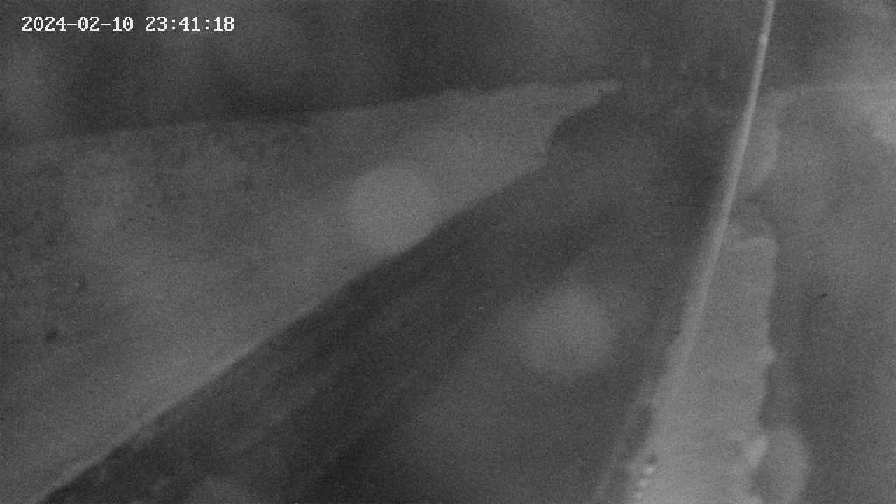 area9-20240210234119.jpg
