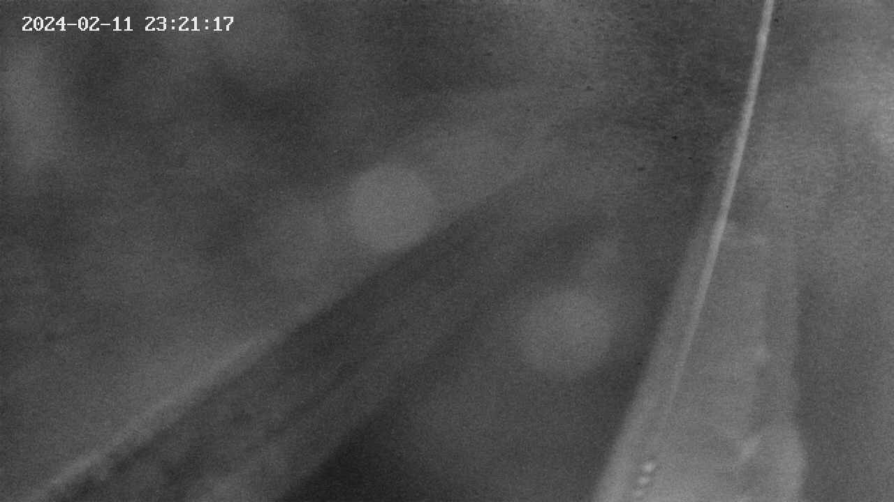 area9-20240211232117.jpg