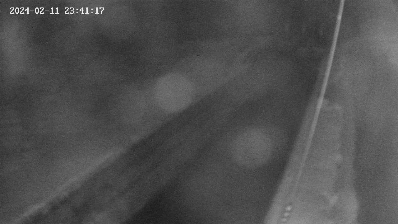 area9-20240211234118.jpg